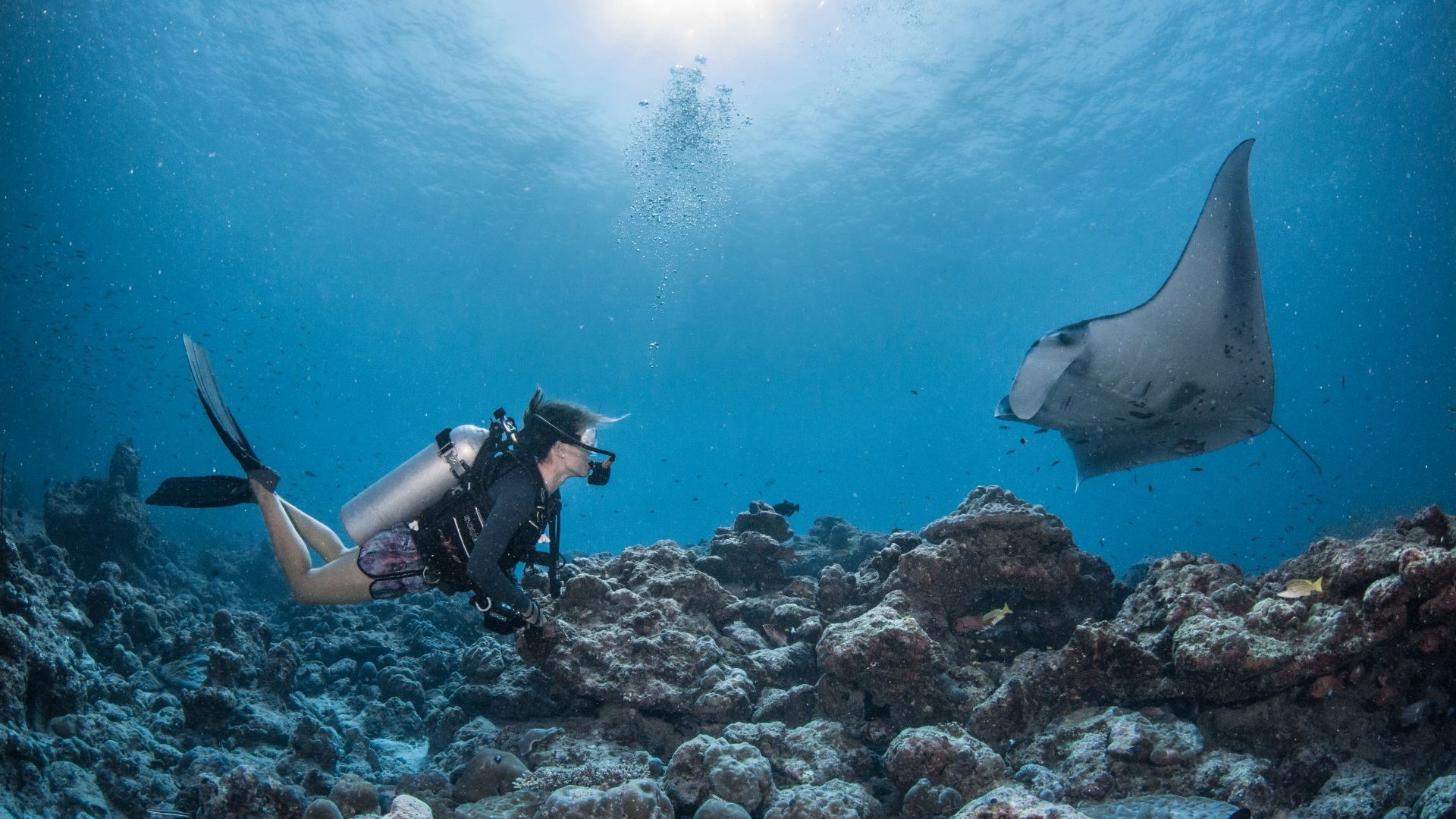 Swimming with mantas | InterContinental Maldives Resort